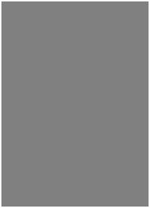 Challenge Badge